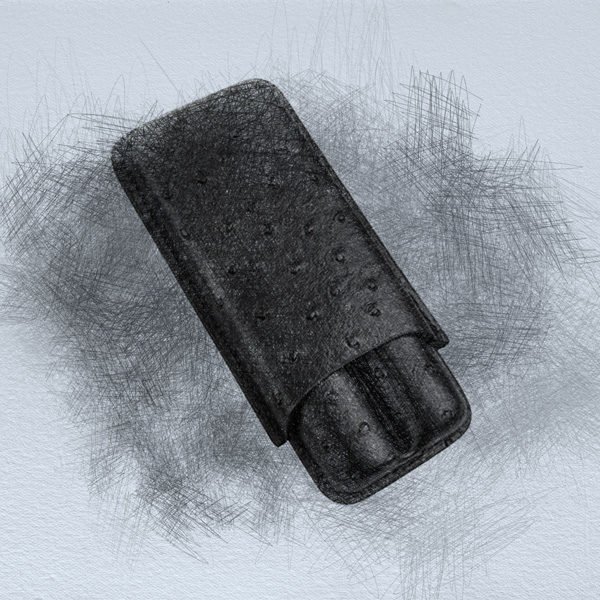 Cases